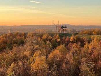 Scenic view of field against sky during sunset