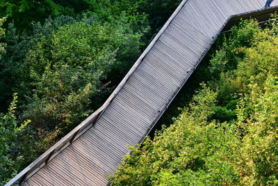 Tilt image of bridge amidst trees and plants in forest