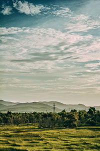 Field against sky