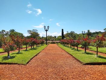 Footpath in park against blue sky