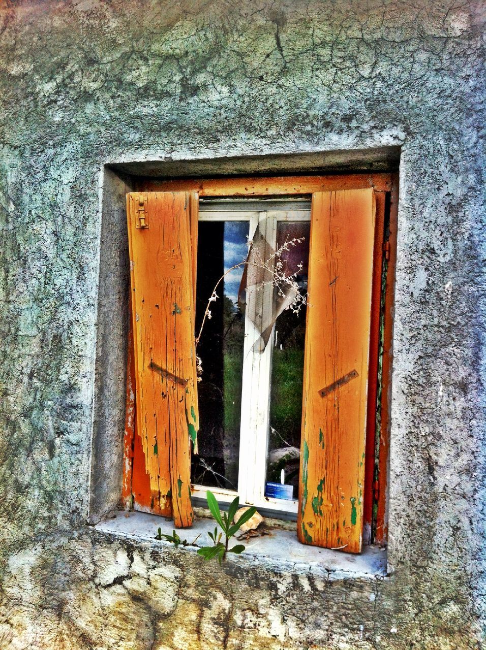 building exterior, built structure, architecture, yellow, door, closed, wall - building feature, text, communication, weathered, old, abandoned, house, window, day, outdoors, wall, no people, entrance, damaged