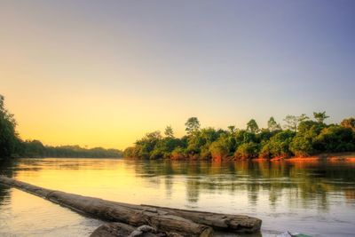 Scenic view of lake in forest against sky