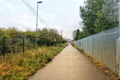 Empty road along plants and trees against sky