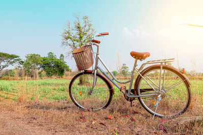 Beautiful vintage bicycle in the field with colorful sunlight and blue sky vintage filter style.