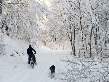 Man with dog walking in snow