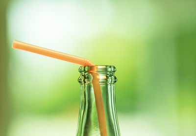 Close-up of orange straw in drinking glass