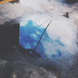 Reflection of trees in puddle