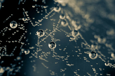 Full frame shot of water drops on spider web