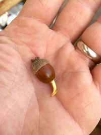 Close-up of hand holding snail