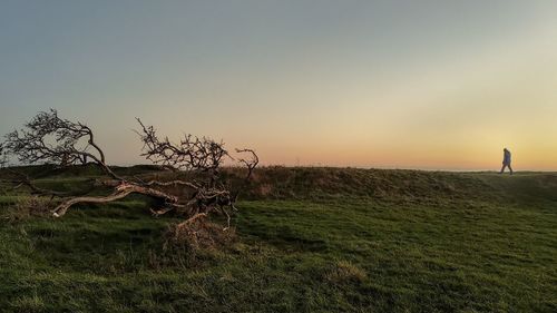 Scenic view of field against sky during sunset