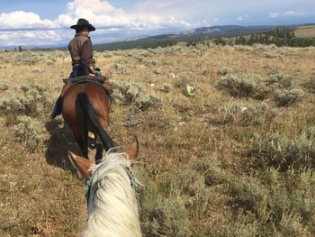 Man riding horse on field