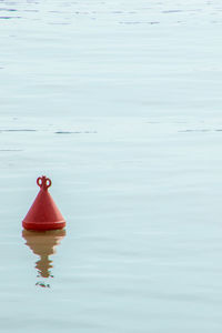 High angle view of red floating on water