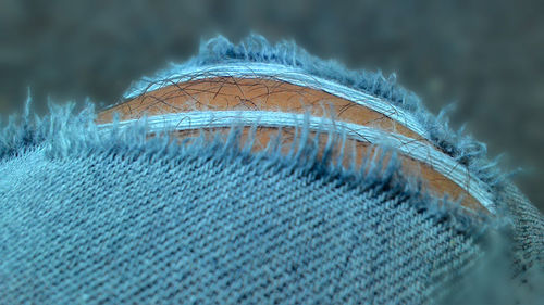 Close-up of feather on snow