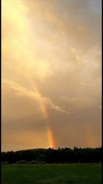 Scenic view of rainbow over field against sky