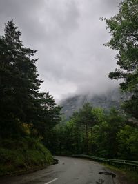 Road amidst trees in forest against sky