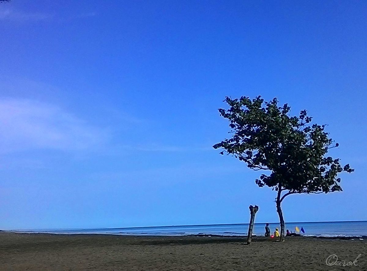 beach, blue, clear sky, sand, tranquility, tranquil scene, sea, copy space, horizon over water, scenics, beauty in nature, tree, shore, nature, palm tree, sunlight, idyllic, vacations, sky, shadow