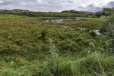 Scenic view of grassy field against sky