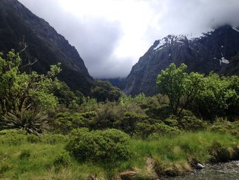 Scenic view of tree mountains against sky