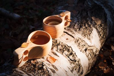 High angle view of tea cup on tree trunk