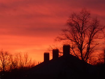 Low angle view of silhouette tree against orange sky