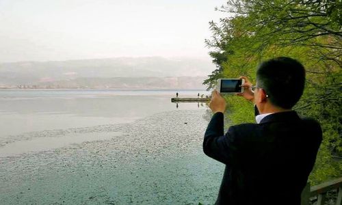 Rear view of man photographing camera on beach