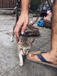 Midsection of person holding cat