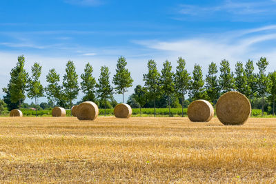 Hay bales on field against sky