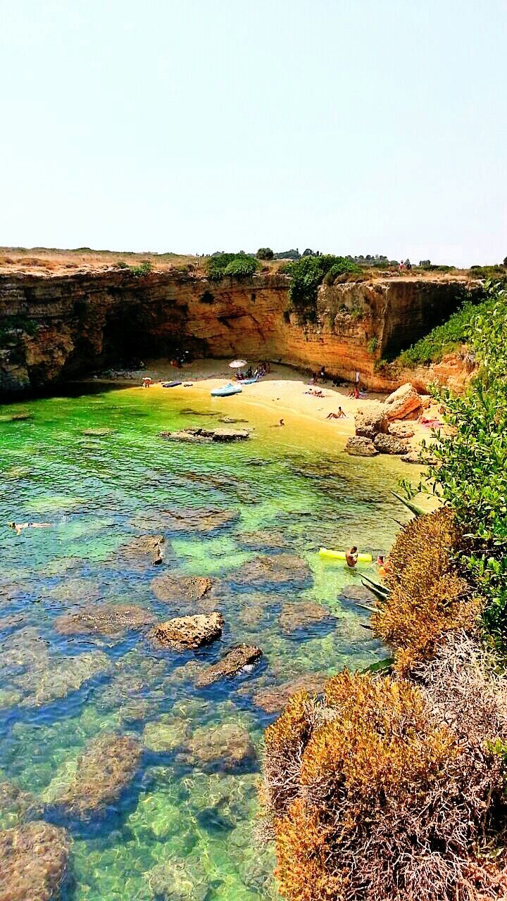 water, clear sky, tranquility, tranquil scene, scenics, nature, tree, copy space, beauty in nature, beach, grass, plant, high angle view, growth, day, sea, shore, outdoors, idyllic, sunlight