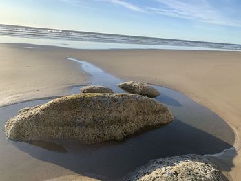 View of rocks on beach against sky