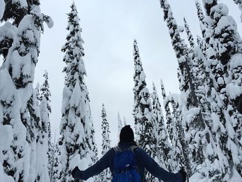 Low angle view of snow covered trees