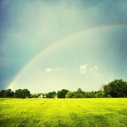 rainbow
