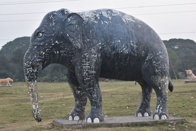 View of elephant on field against sky