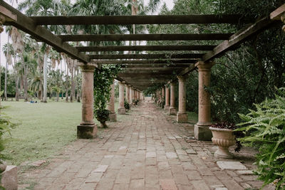 Empty corridor along trees