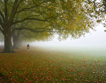 Man on tree by landscape against sky