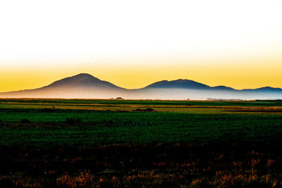 Scenic view of field against sky during sunset