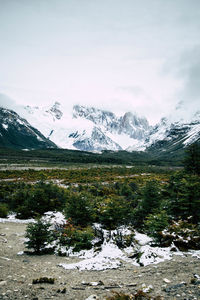 Scenic view of snowcapped mountains and forest against sky