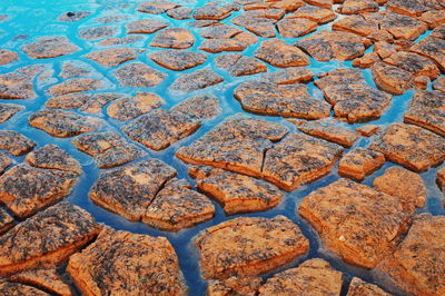 High angle view of cracked landscape