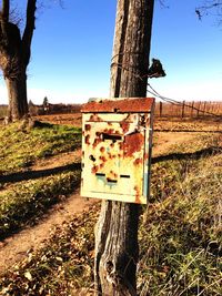 Information sign on tree trunk in field against clear sky