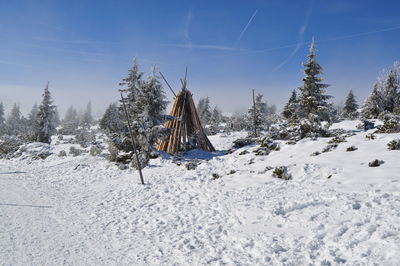 Trees on snow covered field against sky