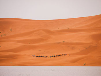 Scenic view of desert against sky