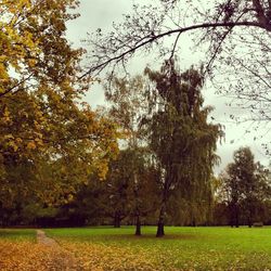 Scenic view of grassy field against sky