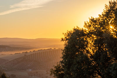 Scenic view of landscape against sky during sunset