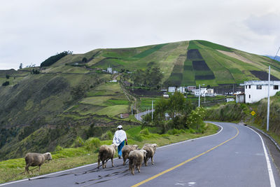 Country road passing through landscape