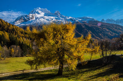 Scenic view of snowcapped mountains against sky during autumn