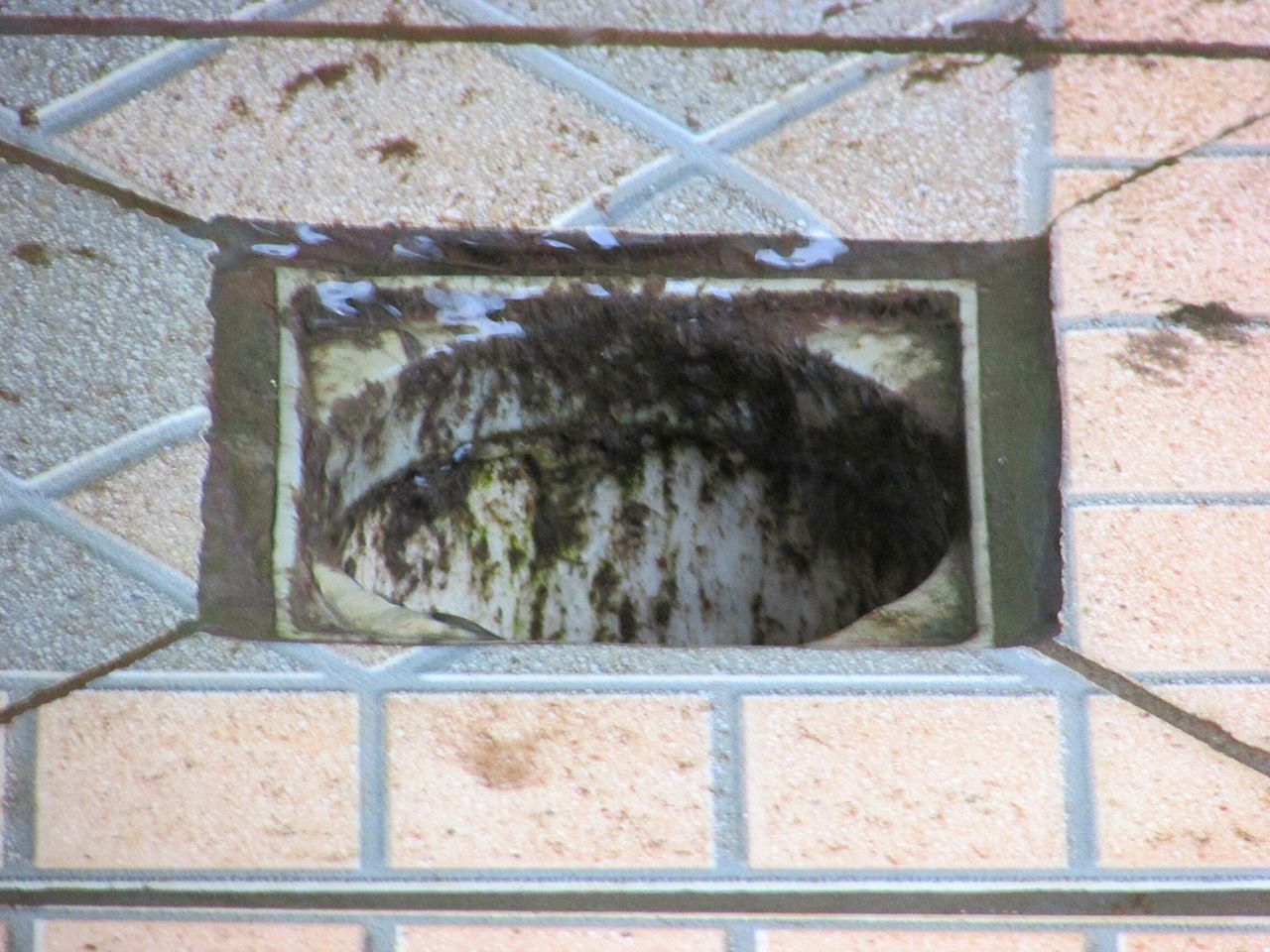 HIGH ANGLE VIEW OF CAT LOOKING THROUGH CAGE