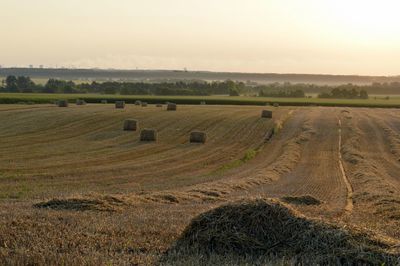 Hay bales on field against sky