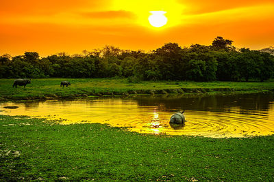 Scenic view of lake against sky during sunset