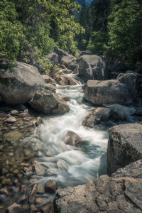 Scenic view of waterfall in forest