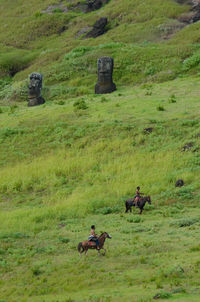 Moais inside the crater of rano raraku volcano, easter island or rapa nui, valparaiso, chile