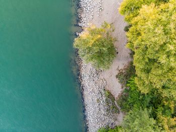 High angle view of plants by sea